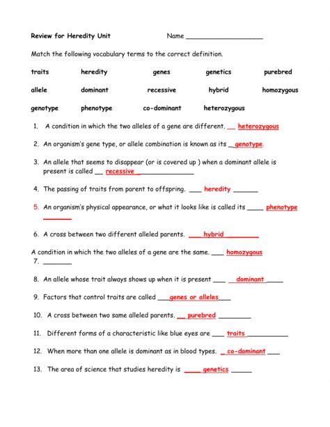 motion and force unit worksheet answers it's not rocket science 2017
